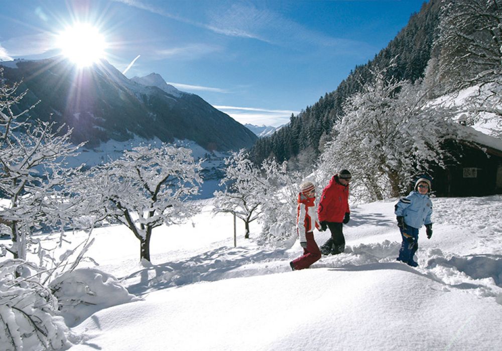 winterwandern.jpg