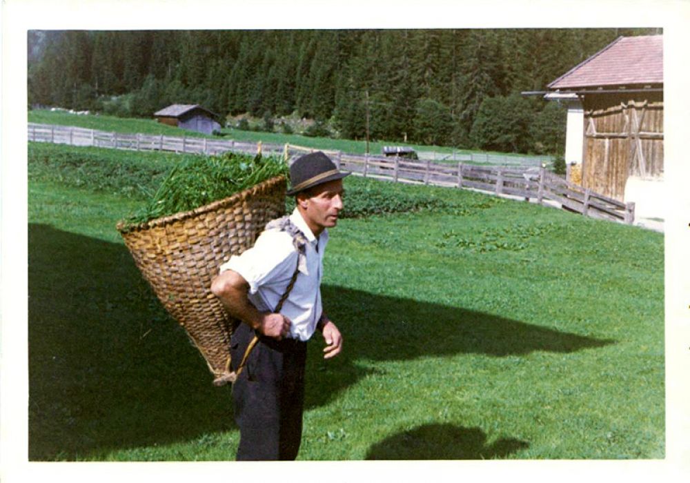 1_friedl_pfurtscheller.jpg